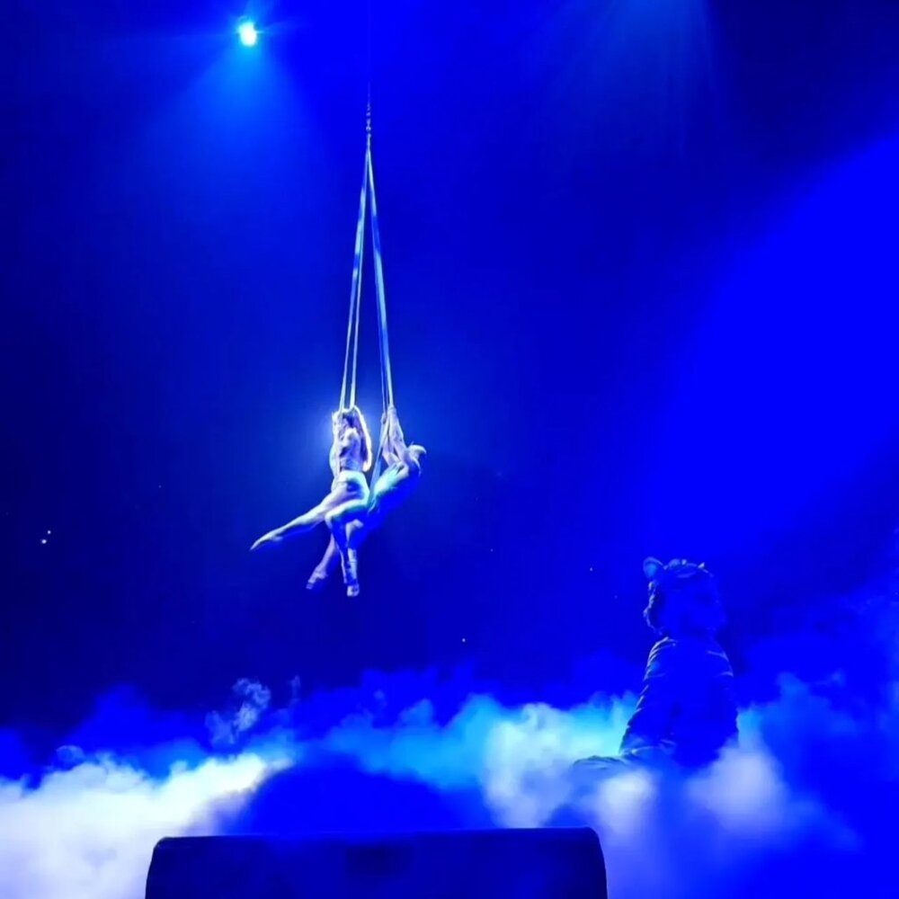 Meet your Posher, Jacquie